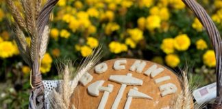 Bochnia. W niedzielę odbyły się Dożynki Powiatowe – ZDJĘCIA