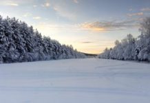 W piątek w Muzeum: „Lud Słońca i Wiatru, czyli opowieść o Laponii”
