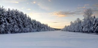 W piątek w Muzeum: „Lud Słońca i Wiatru, czyli opowieść o Laponii”