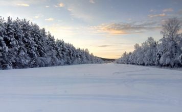 W piątek w Muzeum: „Lud Słońca i Wiatru, czyli opowieść o Laponii”