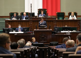 Sejm przyjął „Piątkę dla zwierząt”. Jak zagłosowali posłowie z naszego regionu?