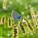 Powiat. Trwają konsultacje społeczne programu ochrony środowiska