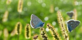 Powiat. Trwają konsultacje społeczne programu ochrony środowiska