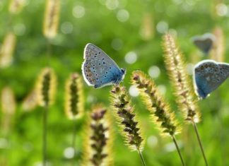 Powiat. Trwają konsultacje społeczne programu ochrony środowiska