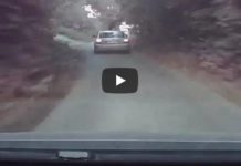 Policyjny pościg ulicami Wieliczki – zobacz WIDEO z radiowozu