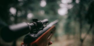 44-letni kłusownik złapany przez policję. Grozi mu 5 lat więzienia