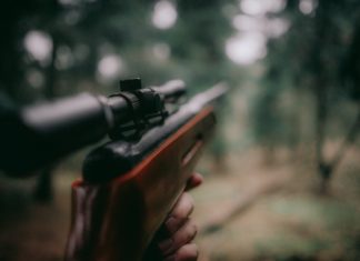 44-letni kłusownik złapany przez policję. Grozi mu 5 lat więzienia