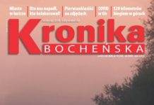 Nowa Kronika Bocheńska: Mały wielki las