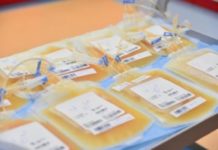 Osocze dla chorych na COVID-19 – co przyszły dawca musi wiedzieć