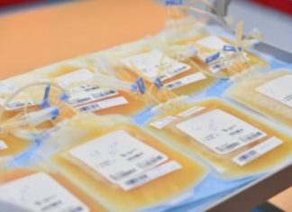 Osocze dla chorych na COVID-19 – co przyszły dawca musi wiedzieć