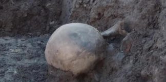 Bochnia. Ludzka czaszka na Rynku. Odkryto miejsce palenia czarownic?