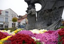 Chryzantemy ozdobiły Bochnię – ZDJĘCIA