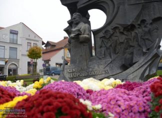 Chryzantemy ozdobiły Bochnię – ZDJĘCIA