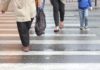 Pierwszeństwo pieszych i zakaz używania telefonów na przejściach?