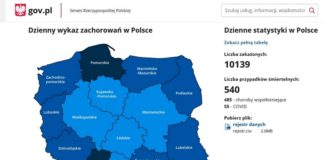 Koronawirus. Ruszyła rządowa strona internetowa z danymi. Są mocno okrojone
