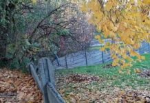 Bochnia. Skok przez płot, by dostać się na cmentarz