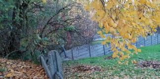 Bochnia. Skok przez płot, by dostać się na cmentarz