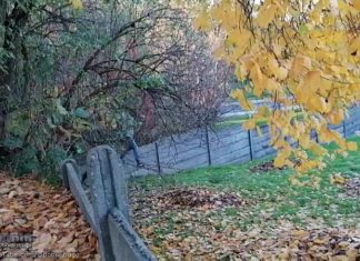 Bochnia. Skok przez płot, by dostać się na cmentarz