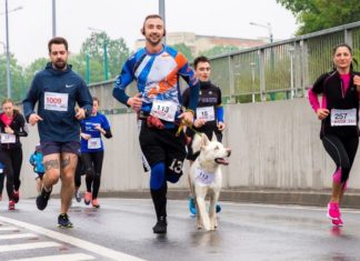 Rząd zakaże imprez biegowych do 29 listopada