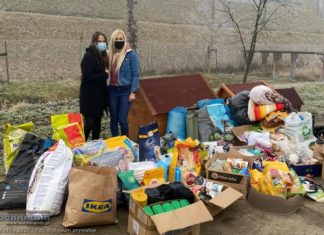 Gabi i Pati przekazały Wasze dary do schroniska dla zwierząt w Borku
