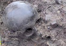 Bochnia. Druga ludzka czaszka na Rynku. Hipoteza o odkryciu miejsca palenia czarownic się umacnia? – WIDEO