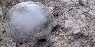 Bochnia. Druga ludzka czaszka na Rynku. Hipoteza o odkryciu miejsca palenia czarownic się umacnia? – WIDEO