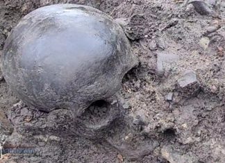 Bochnia. Druga ludzka czaszka na Rynku. Hipoteza o odkryciu miejsca palenia czarownic się umacnia? – WIDEO