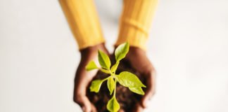 Troszczysz się o planetę? Naprawiaj zamiast kupować!