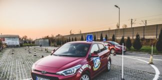 FERIE Z OSK „Auto-Miś”