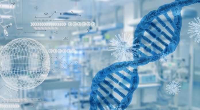 Laboratorium zidentyfikowało brytyjską odmianę koronawirusa w Małopolsce