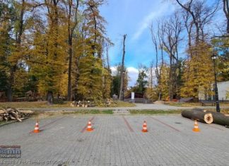Bochnia. BZUK przejął opiekę nad Parkiem Uzbornia