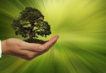 5 korzyści jakie zyskuje firma z proekologicznym podejściem