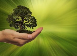 5 korzyści jakie zyskuje firma z proekologicznym podejściem