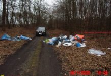 Puszcza Niepołomicka. 4,5 tys. zł grzywny dla mężczyzny, który wyrzucił w lesie śmieci