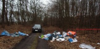 Puszcza Niepołomicka. 4,5 tys. zł grzywny dla mężczyzny, który wyrzucił w lesie śmieci