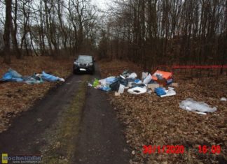 Puszcza Niepołomicka. 4,5 tys. zł grzywny dla mężczyzny, który wyrzucił w lesie śmieci