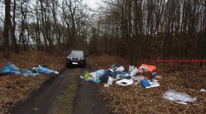 Puszcza Niepołomicka. 4,5 tys. zł grzywny dla mężczyzny, który wyrzucił w lesie śmieci