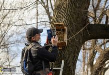 Bochnia. „Ptasie Miasto” już gotowe na wiosenne lęgi