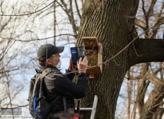 Bochnia. „Ptasie Miasto” już gotowe na wiosenne lęgi