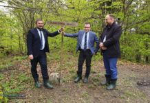 7,5 mln zł dla Lipnicy Murowanej, Żegociny, Trzciany i Iwkowej