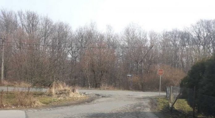 Dokumentacja projektowa na modernizację skrzyżowania ul. Brzeźnickiej i ul. Krzyżaki