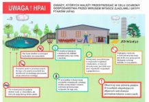 Ptasia grypa. „Nie ma zagrożenia dla ludzi, ale obowiązuje profilaktyka”