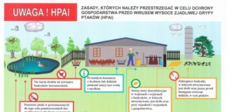 Ptasia grypa. „Nie ma zagrożenia dla ludzi, ale obowiązuje profilaktyka”