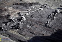 Są wstępne wyniki badań szkieletów znalezionych na Rynku w Bochni: To mężczyzna, kobieta i dziecko