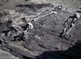 Trzy szkielety na Rynku już odsłonięte. Ludzkie kości też przed Bazyliką – ZDJĘCIA