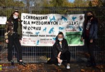 Projekt „szCZEKAM”. Uczennice I LO zachęcają do adopcji zwierząt