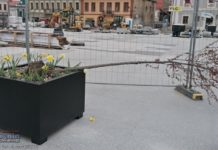 Bochnia. Silny wiatr uszkodził drzewka na Rynku