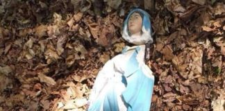 Zatrzymano sprawcę zniszczenia figurki Matki Bożej w Parku Uzbornia