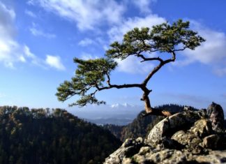 PTTK zaprasza na Rodzinny Rajd Wiosenny w Pieniny