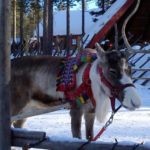 Muzeum: „Samowie – rdzenna społeczność północnej Europy”